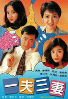 美剧《一夫三妻》第一季在线播